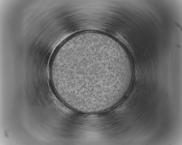 X0000102391028200808221820