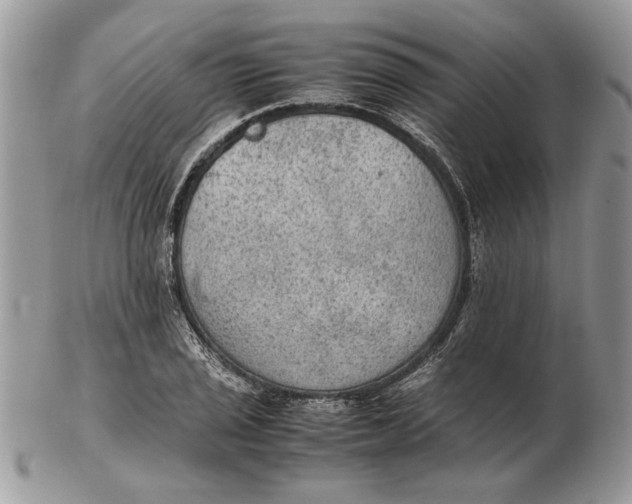 X0000102391029200808221820