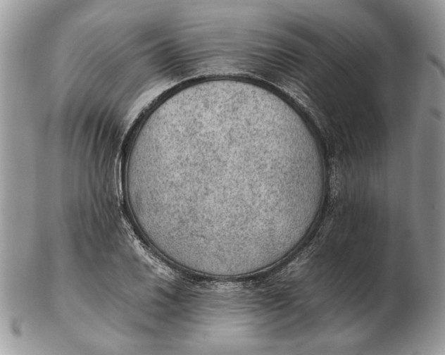 X0000102391030200808221820