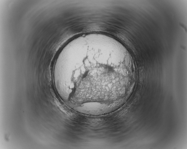 X0000102391031200808221820