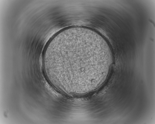 X0000102391032200808221820