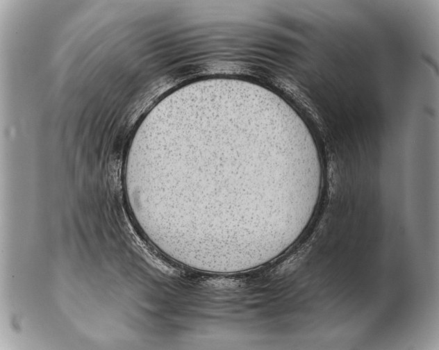 X0000102391033200808221820