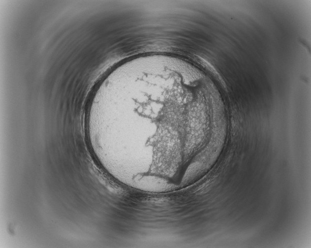 X0000102391035200808221820