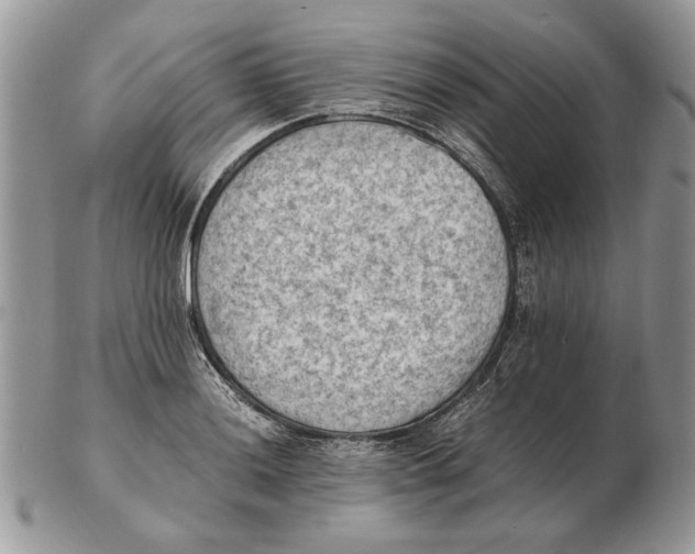 X0000102391036200808221820