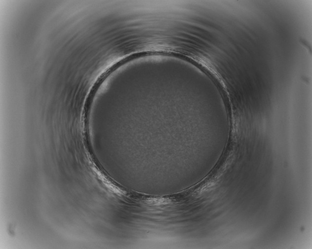 X0000102391037200808221820