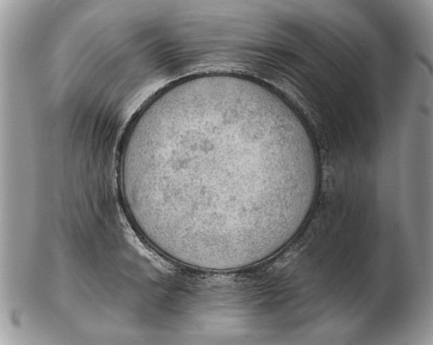 X0000102391038200808221820