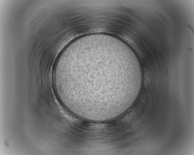 X0000102391039200808221820