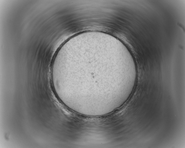 X0000102391040200808221820