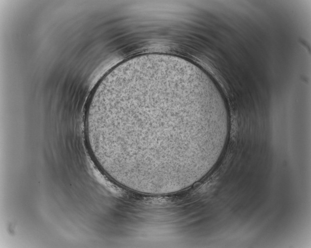 X0000102391042200808221820