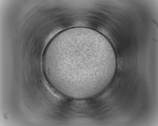 X0000102391043200808221820