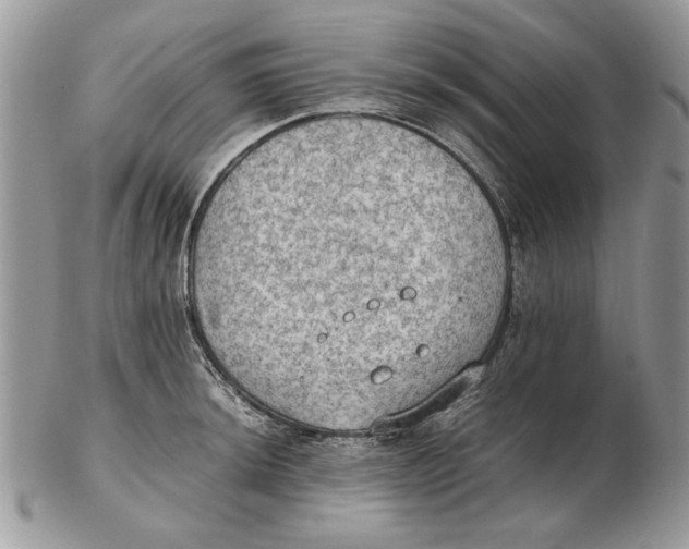 X0000102391044200808221820