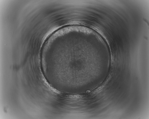 X0000102391045200808221820