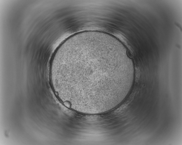 X0000102391046200808221820