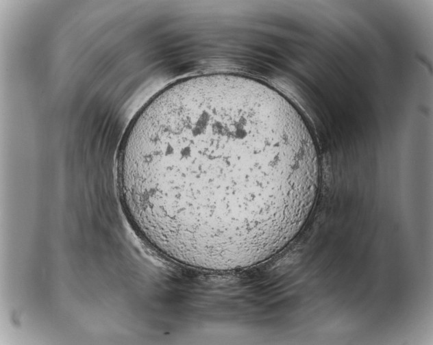 X0000102391047200808221820