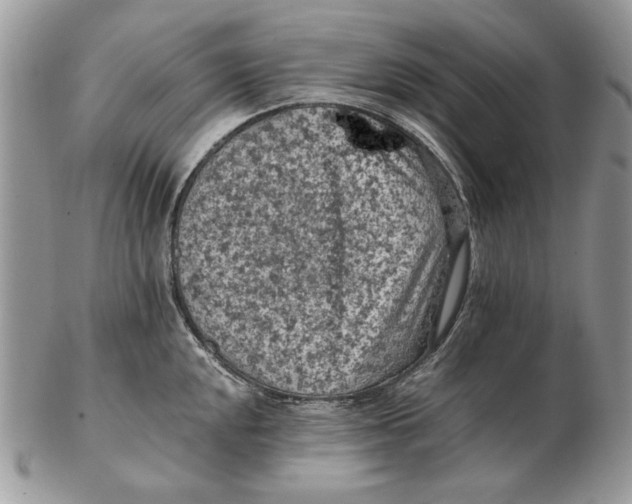 X0000102391048200808221820