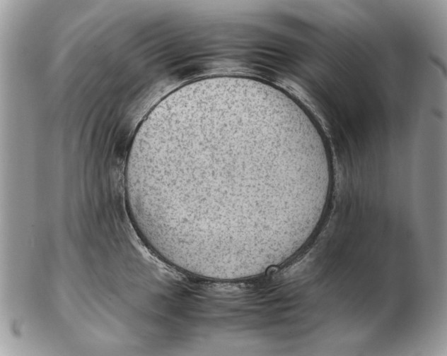 X0000102391049200808221820