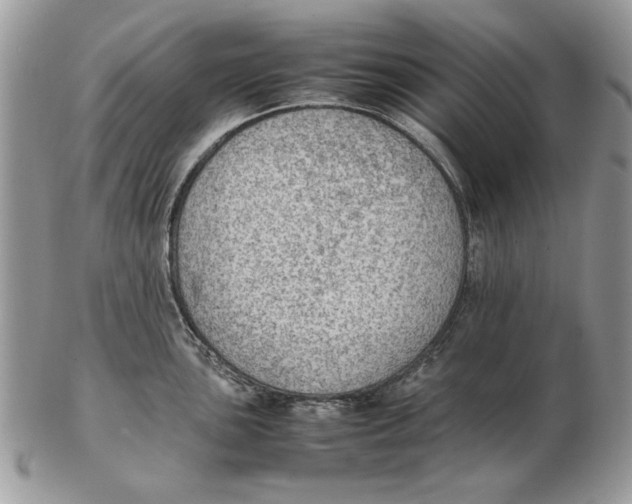 X0000102391051200808221820