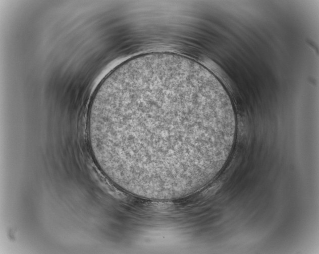 X0000102391052200808221820