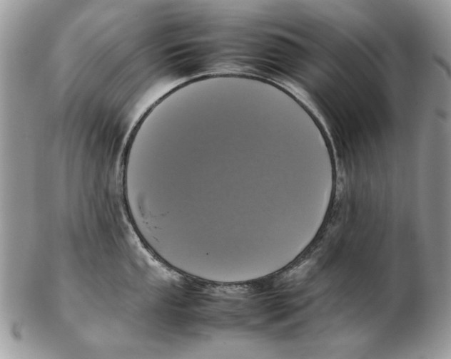 X0000102391053200808221821