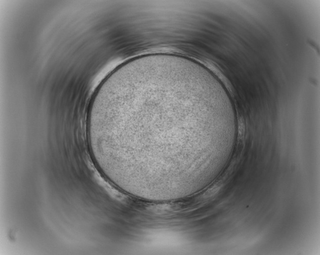 X0000102391054200808221821