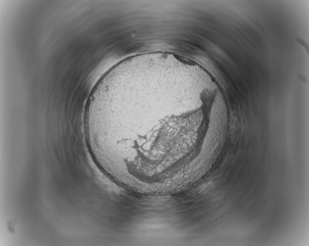 X0000102391055200808221821