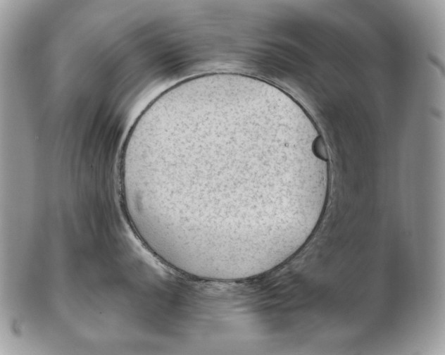 X0000102391056200808221821