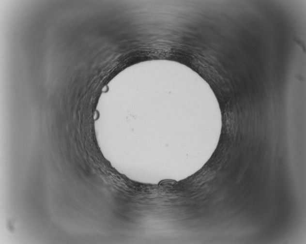 X0000102391057200808221820