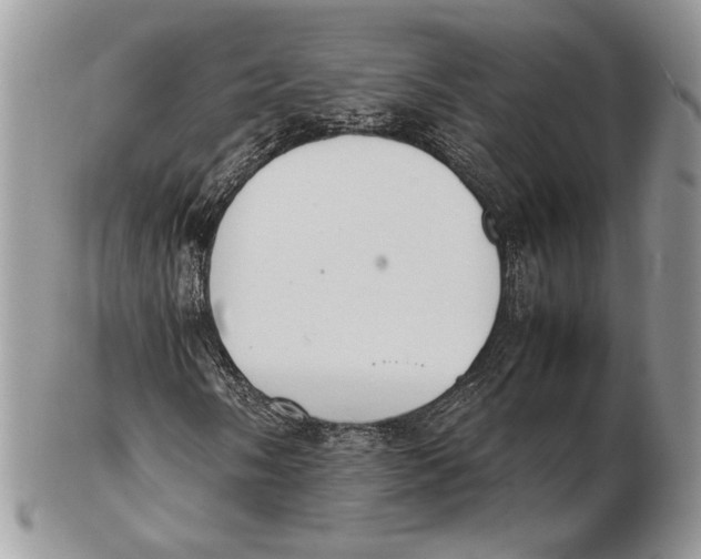 X0000102391058200808221820