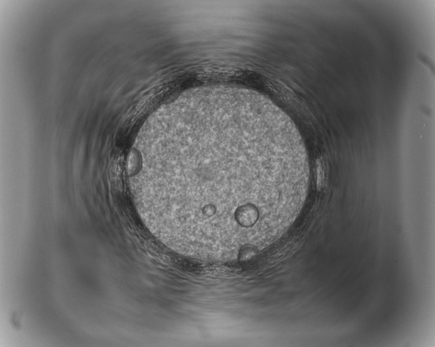 X0000102391059200808221820