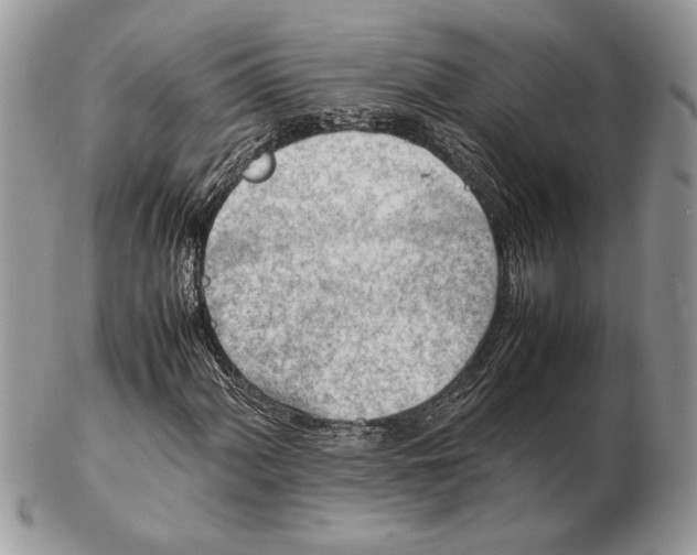 X0000102391060200808221820