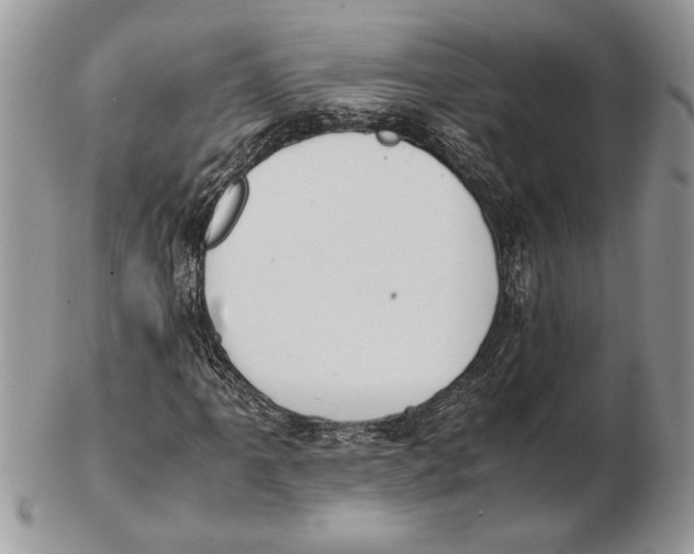 X0000102391061200808221820