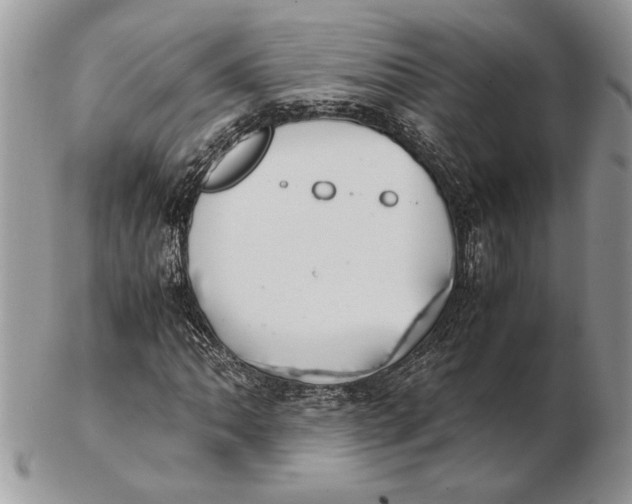 X0000102391062200808221820