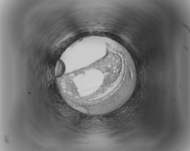 X0000102391063200808221820