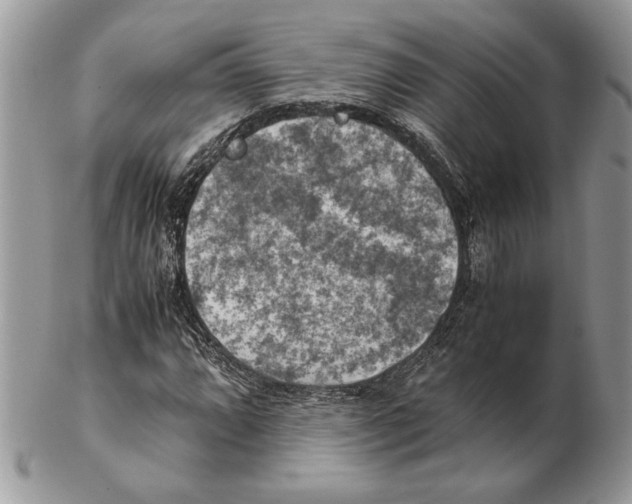 X0000102391064200808221820