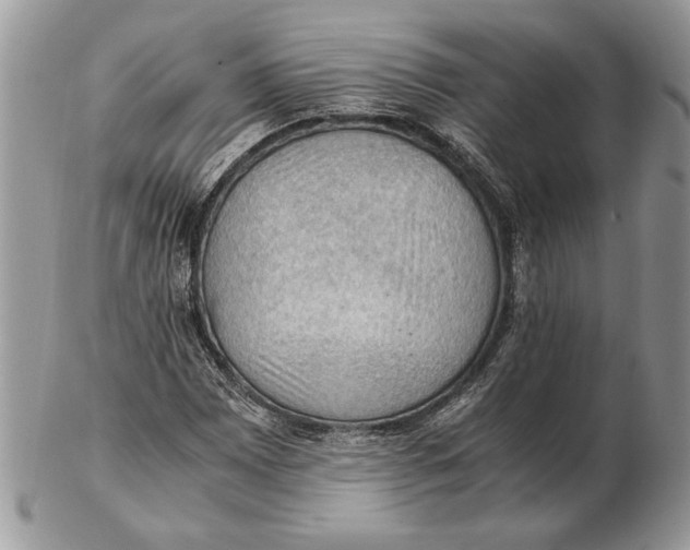 X0000102391065200808221820