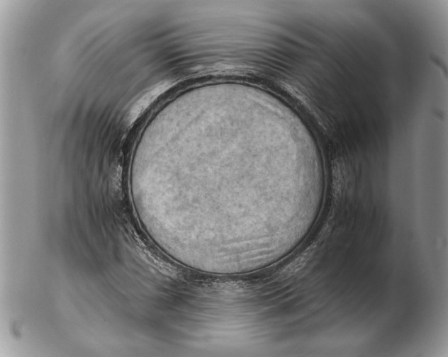 X0000102391066200808221820