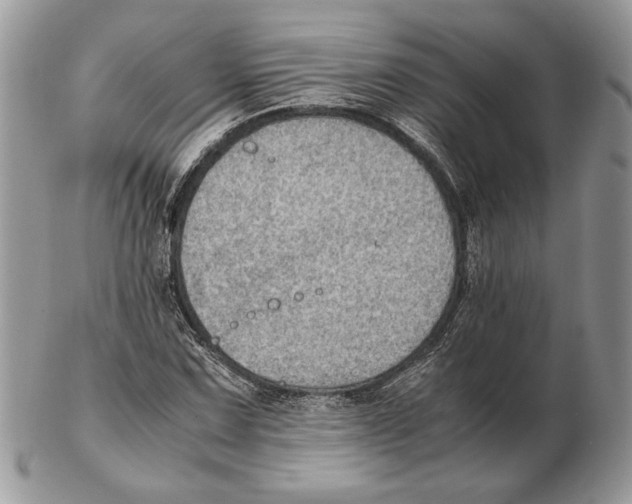 X0000102391067200808221820