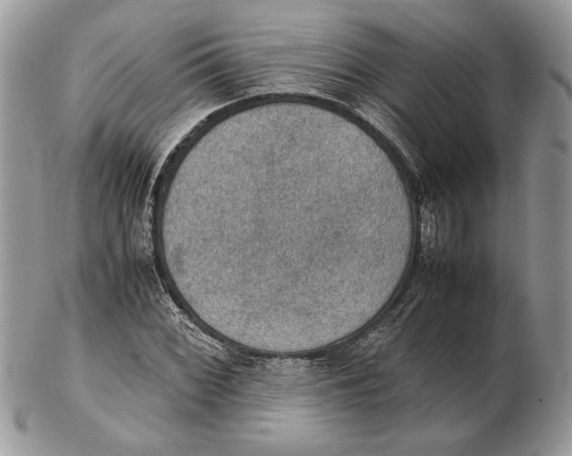 X0000102391068200808221820