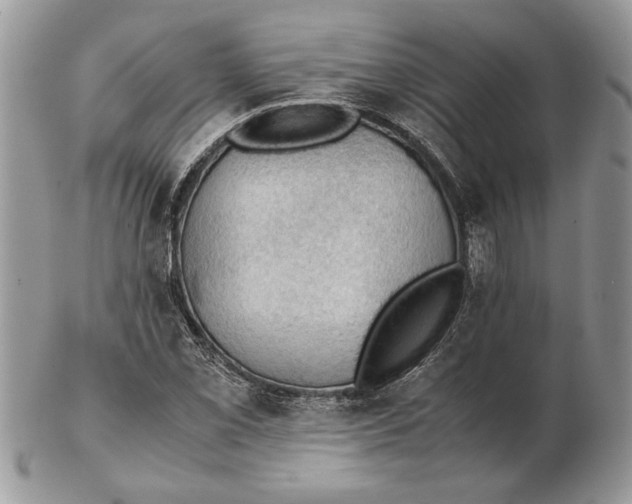 X0000102391069200808221820