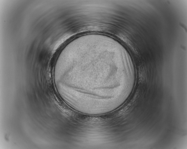 X0000102391070200808221820