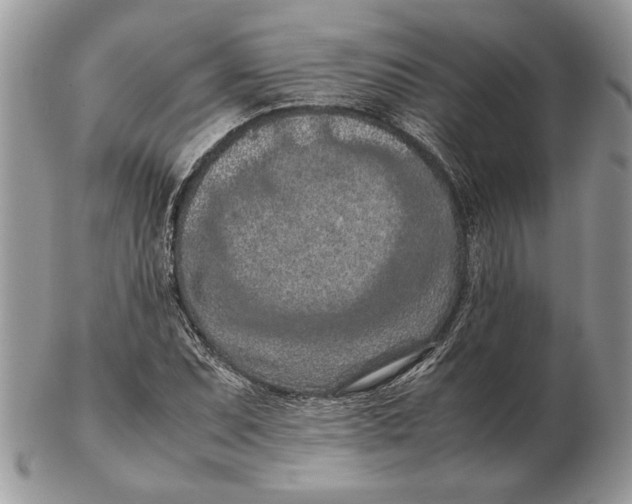 X0000102391071200808221820