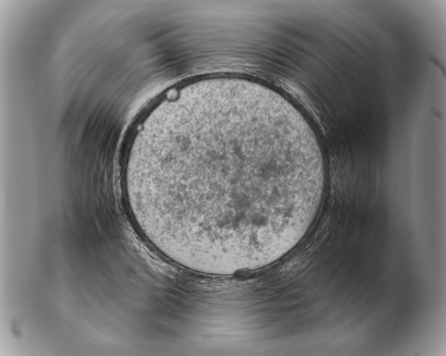 X0000102391072200808221820