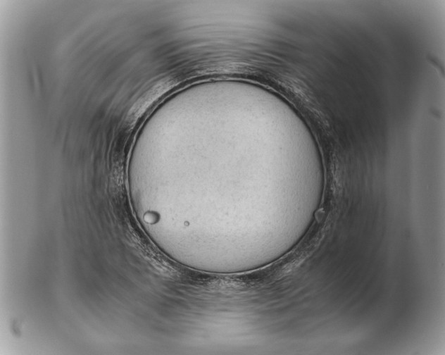 X0000102391073200808221820