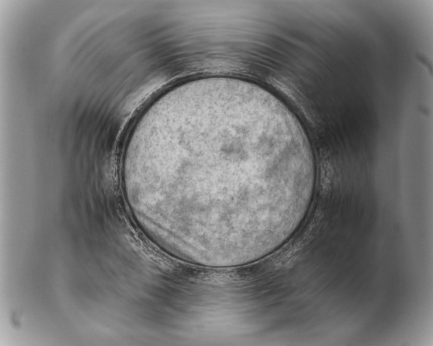 X0000102391074200808221820