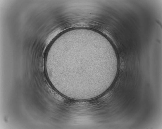 X0000102391075200808221820