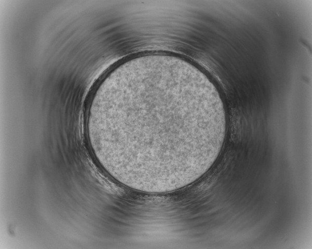 X0000102391076200808221820