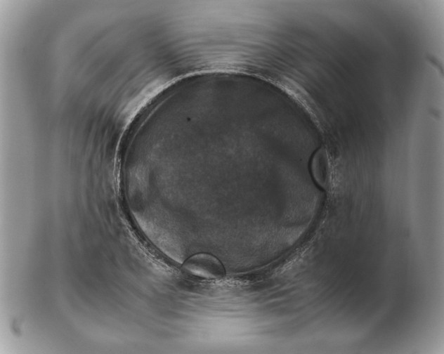 X0000102391077200808221820