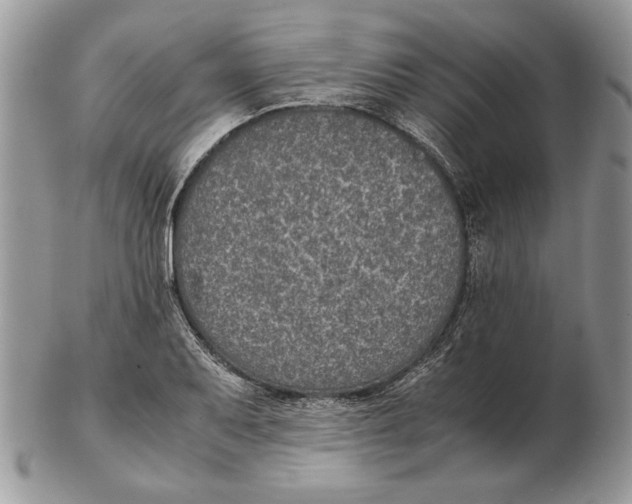 X0000102391079200808221820