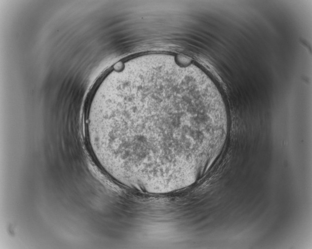 X0000102391080200808221820