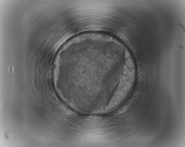 X0000102391081200808221820